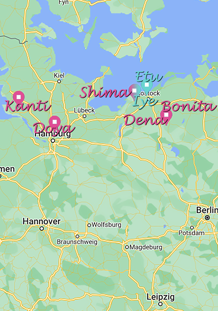 Australian Shepherd Welpen Wurf März 2016